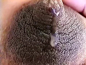 Premios Pornhub 2019 ...